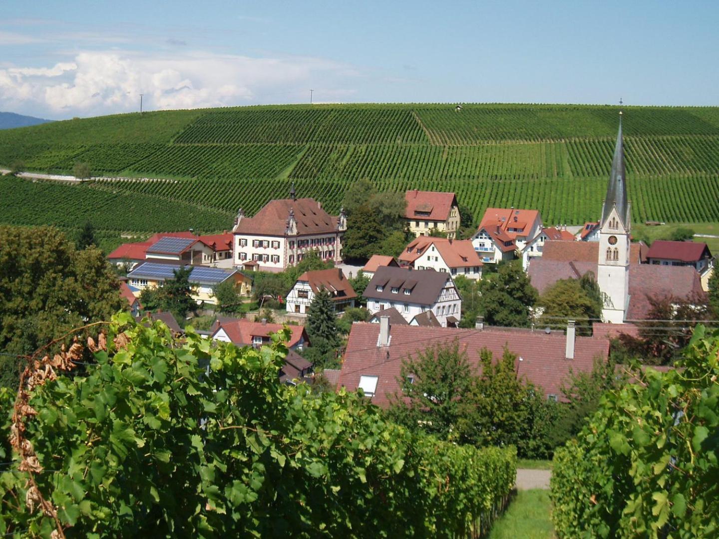 Ferienwohnung Birkental Ebringen Exterior photo